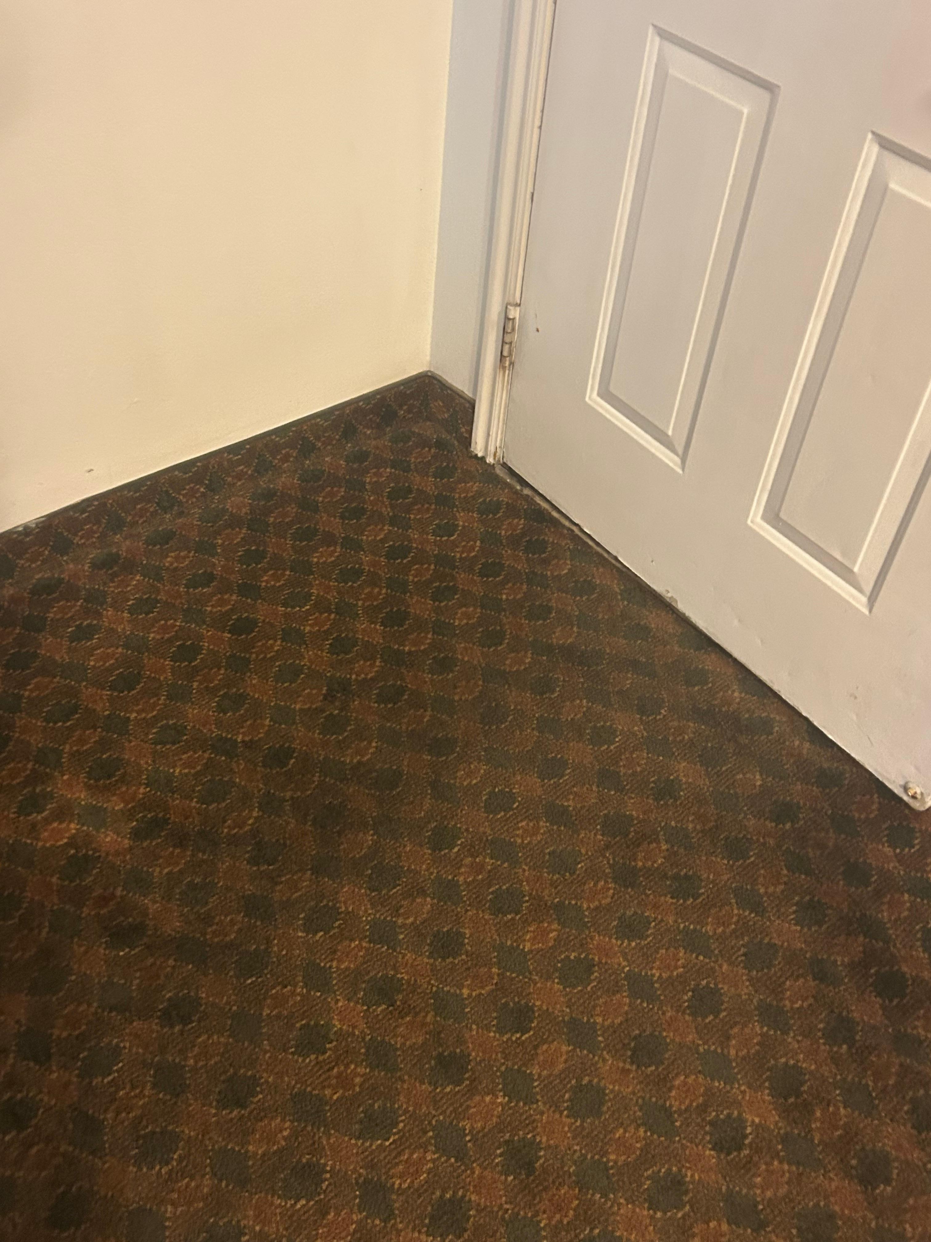 Very dirty carpet. We kept our shoes in in the room and literally wiped our feet on the way out! 