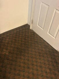 Very dirty carpet. We kept our shoes in in the room and literally wiped our feet on the way out!