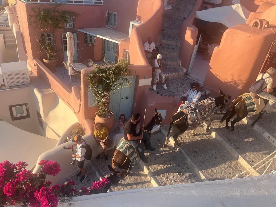 photo from viewing deck