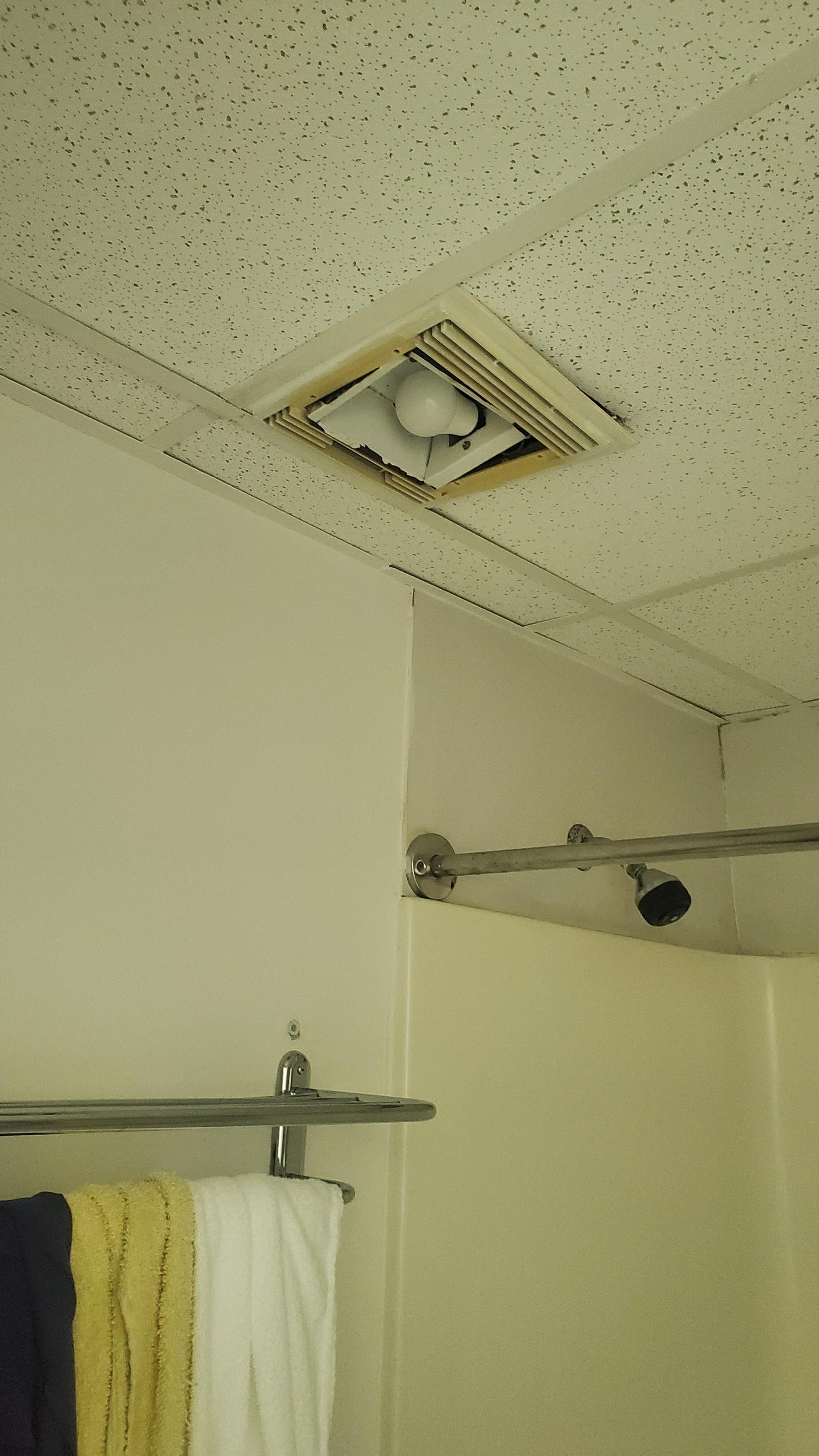 Ceiling in bathroom. Moldy old and needs replacement and rehab. 