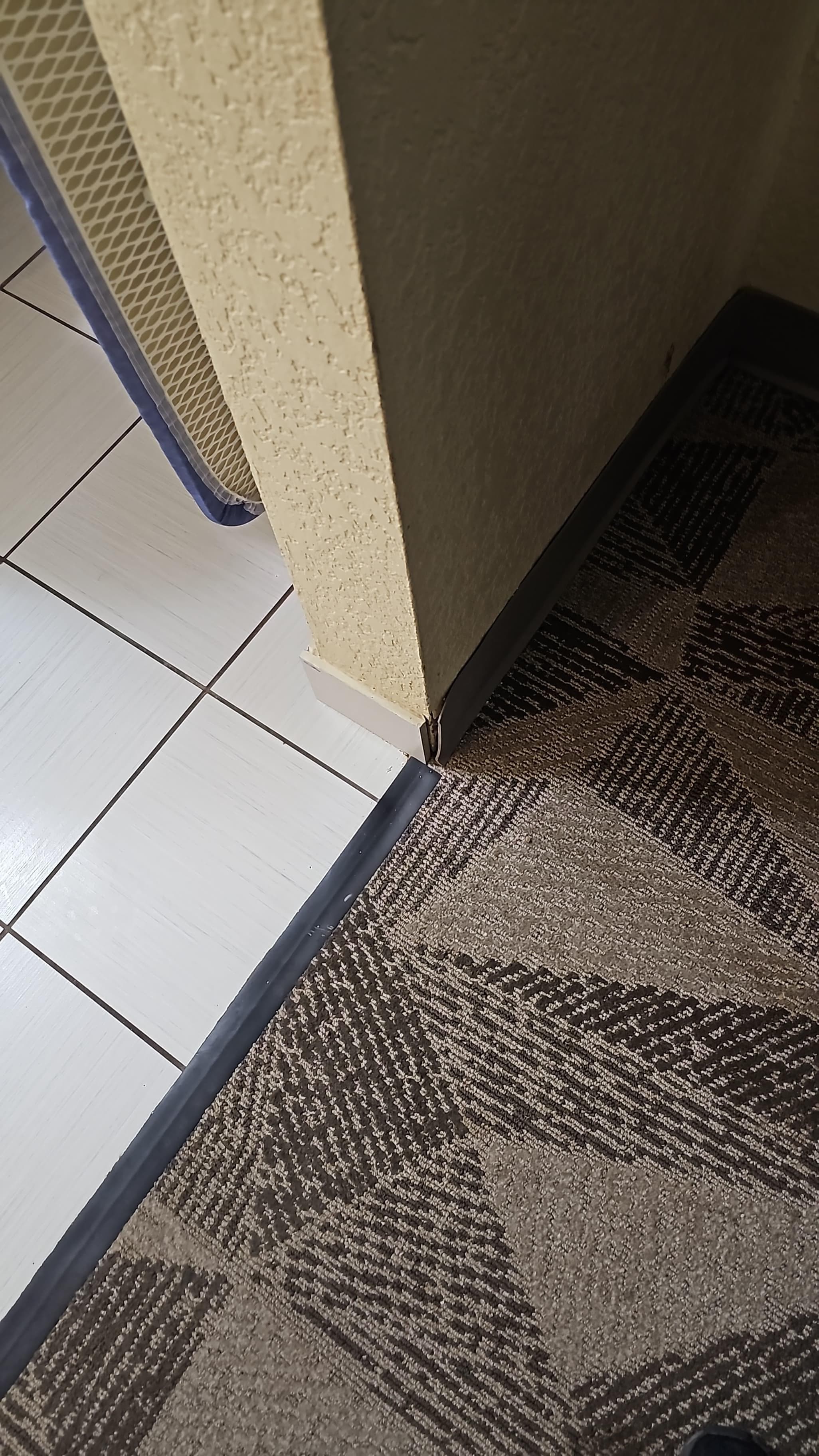 Baseboards were coming apart. 