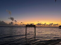 Instagram friendly swings