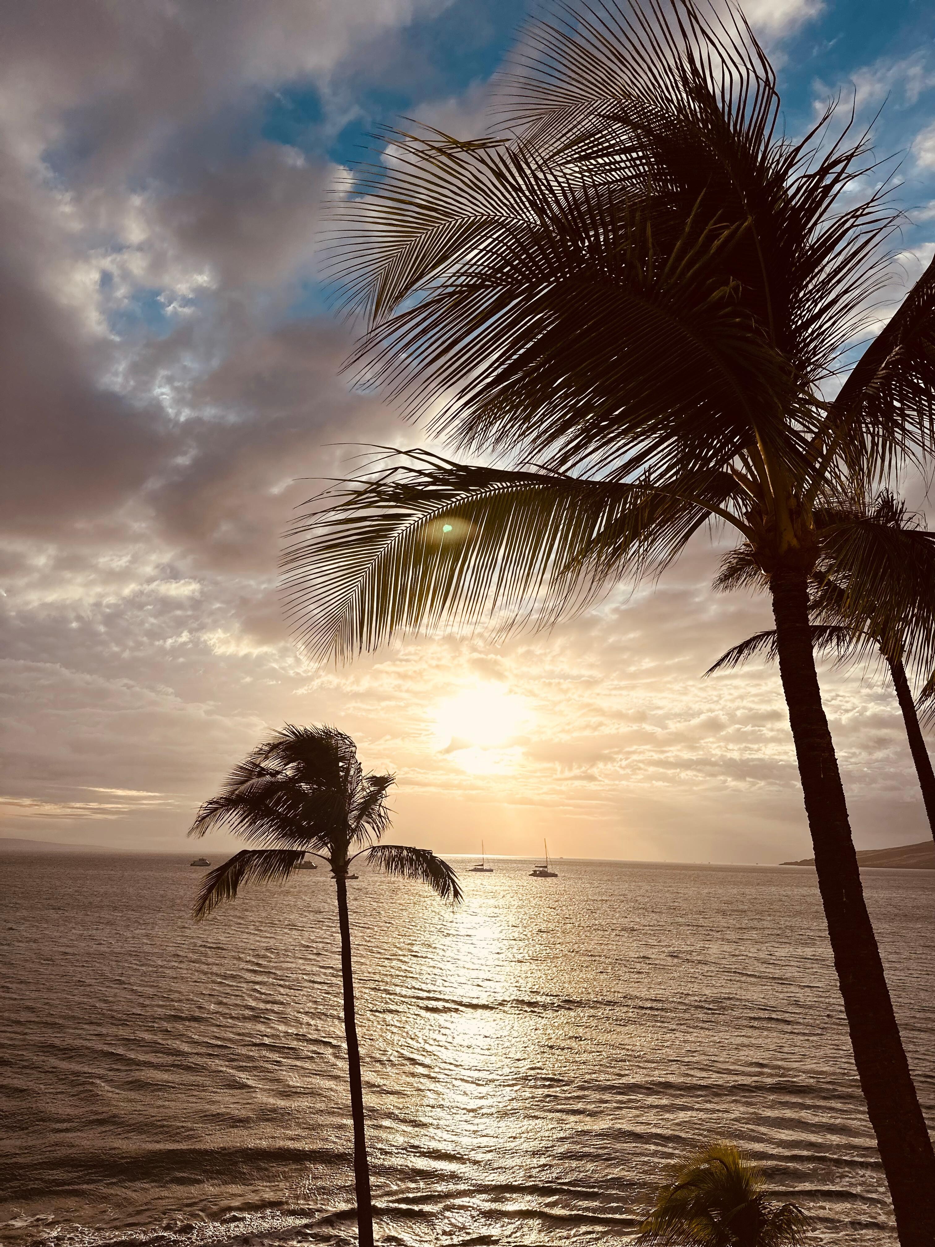 Another December Maui sunset