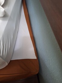 Bedbug trails visible on box spring under mattress