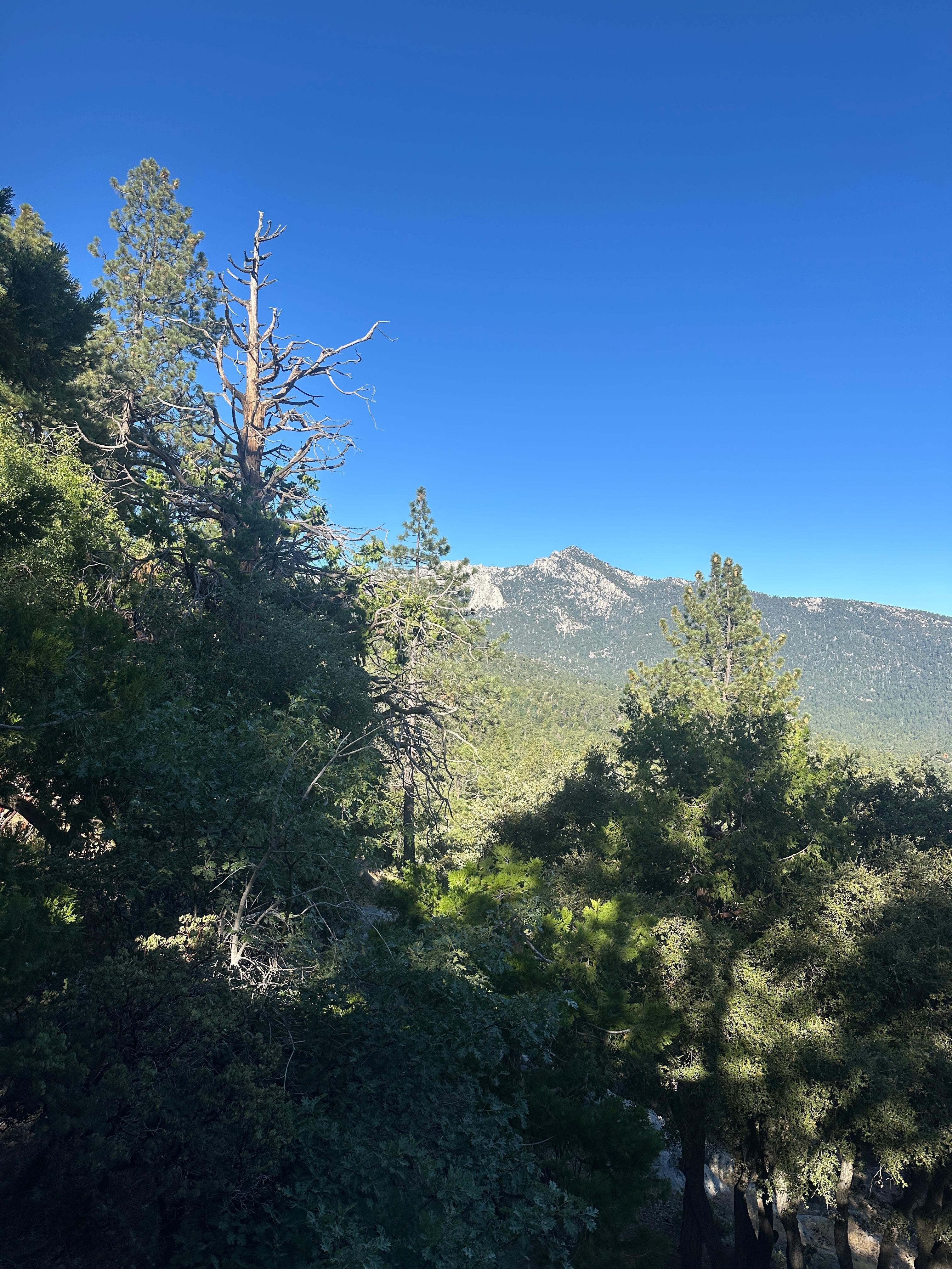 View from balcony 