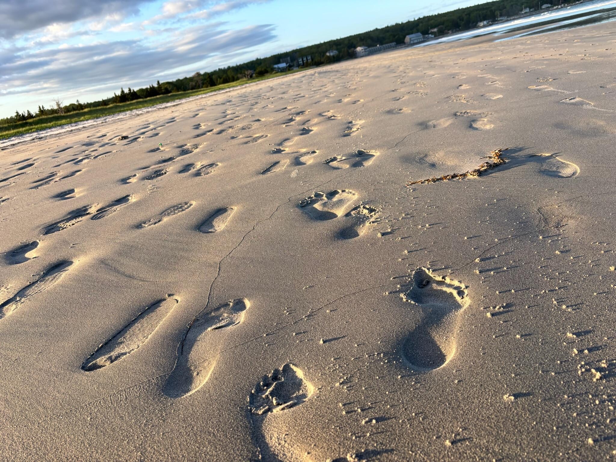 Summerville Beach is a stone’s throw away.