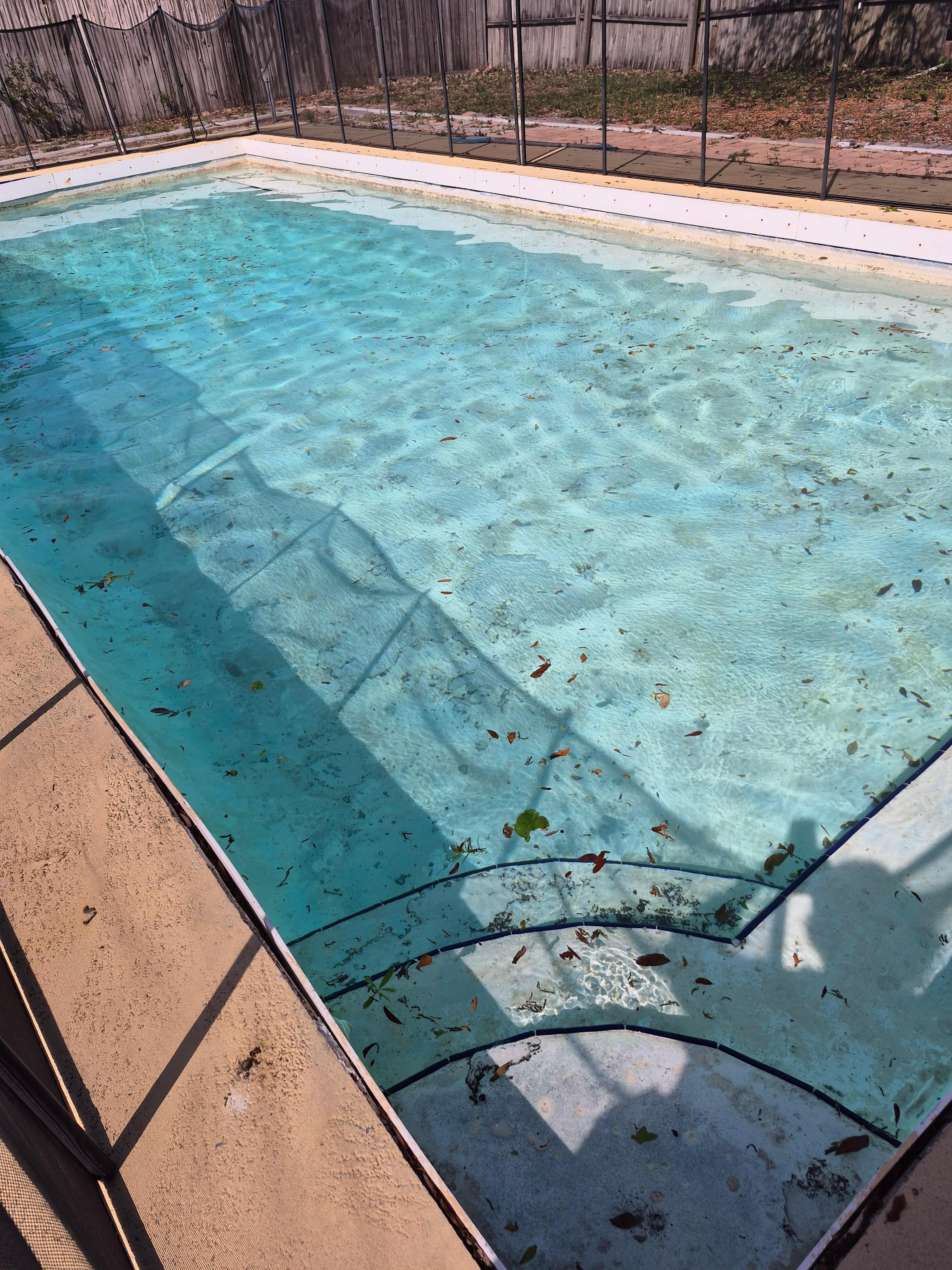 peeling paint, dirty, full of leaves, had ducks swimming in when we first walked outside