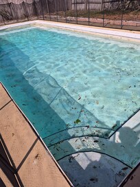 peeling paint, dirty, full of leaves, had ducks swimming in when we first walked outside