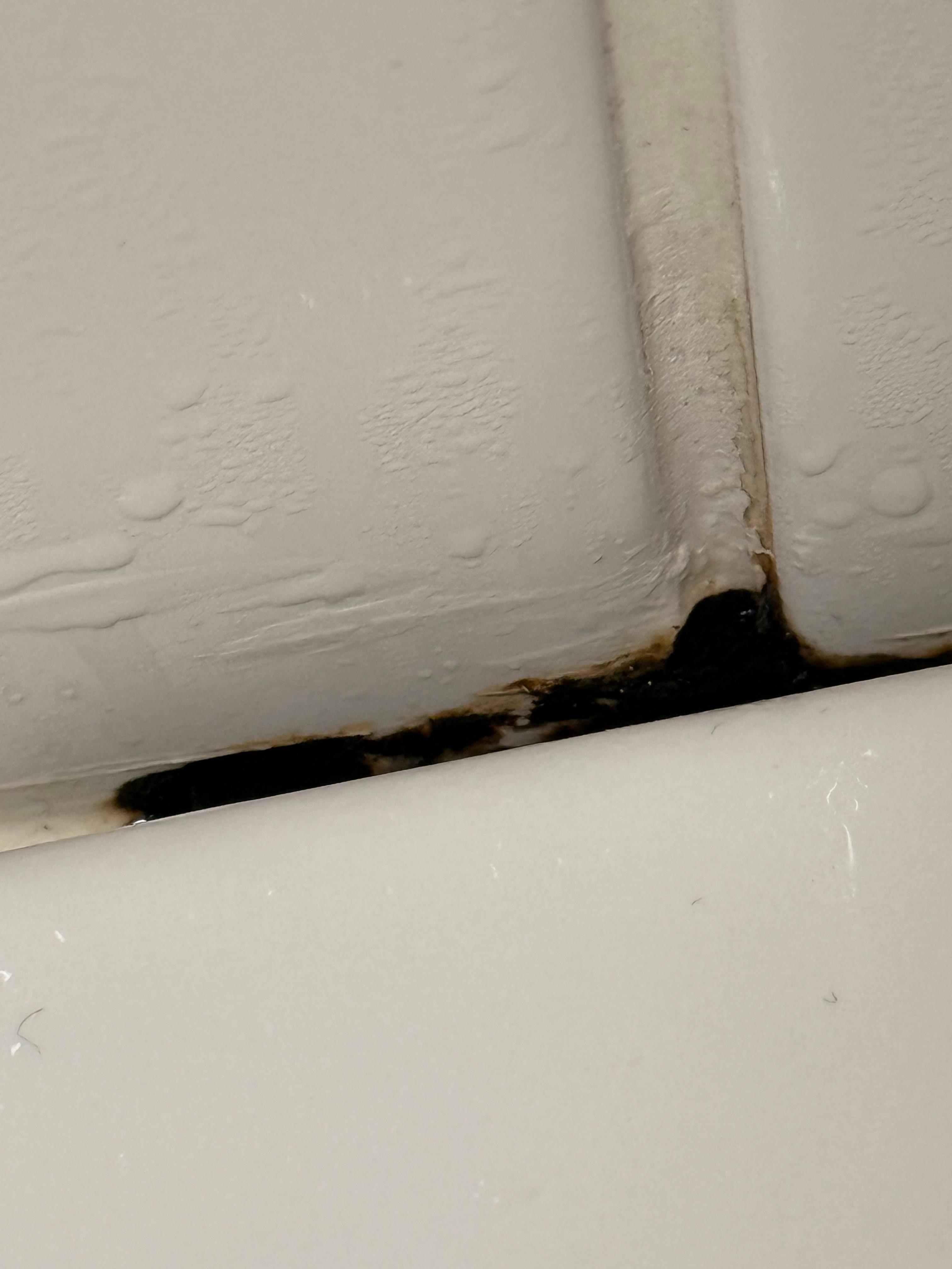 Mould 