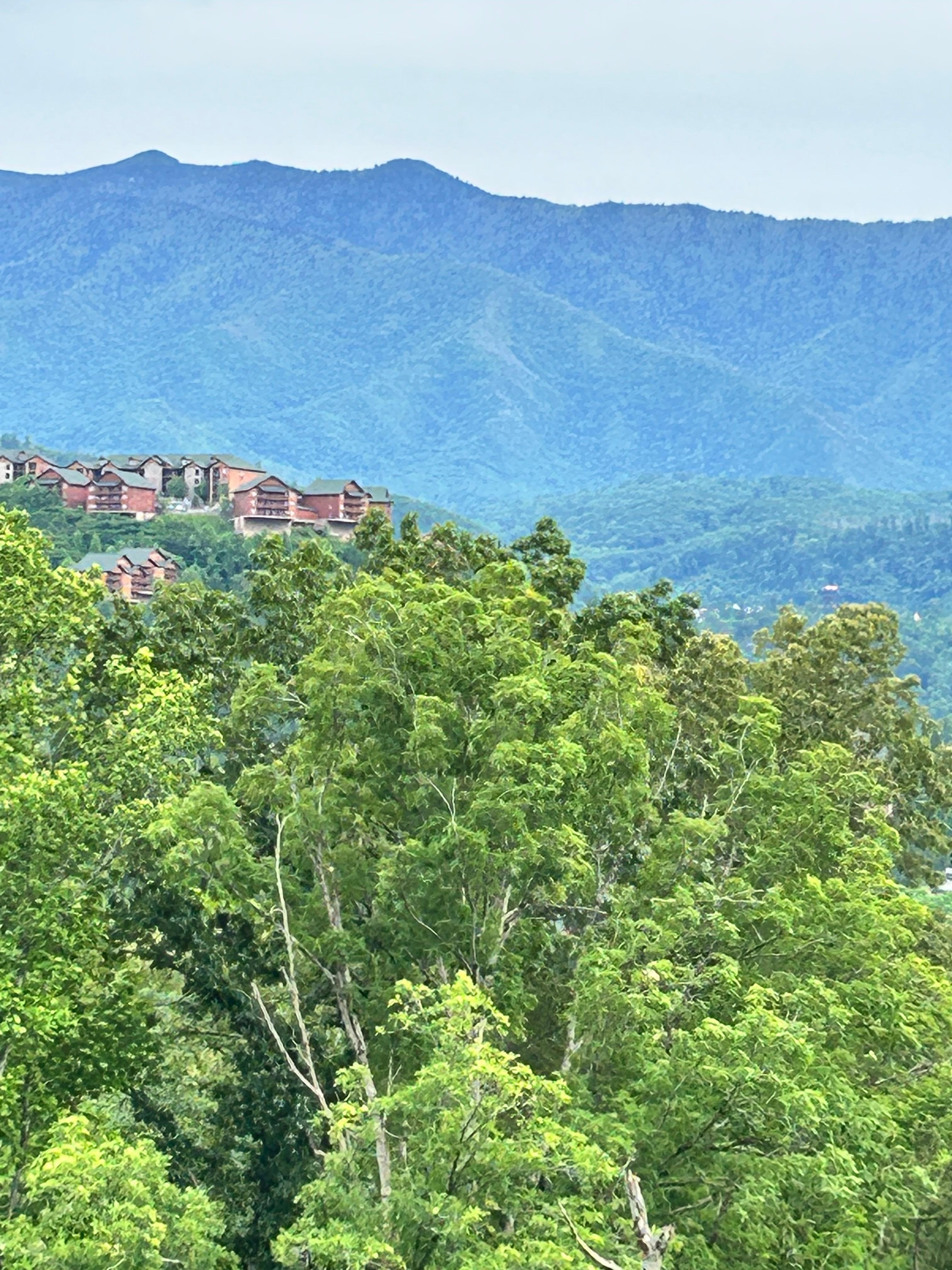 Views from the deck. 