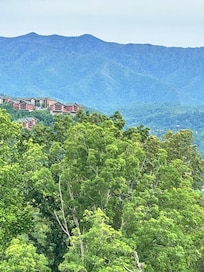 Views from the deck.