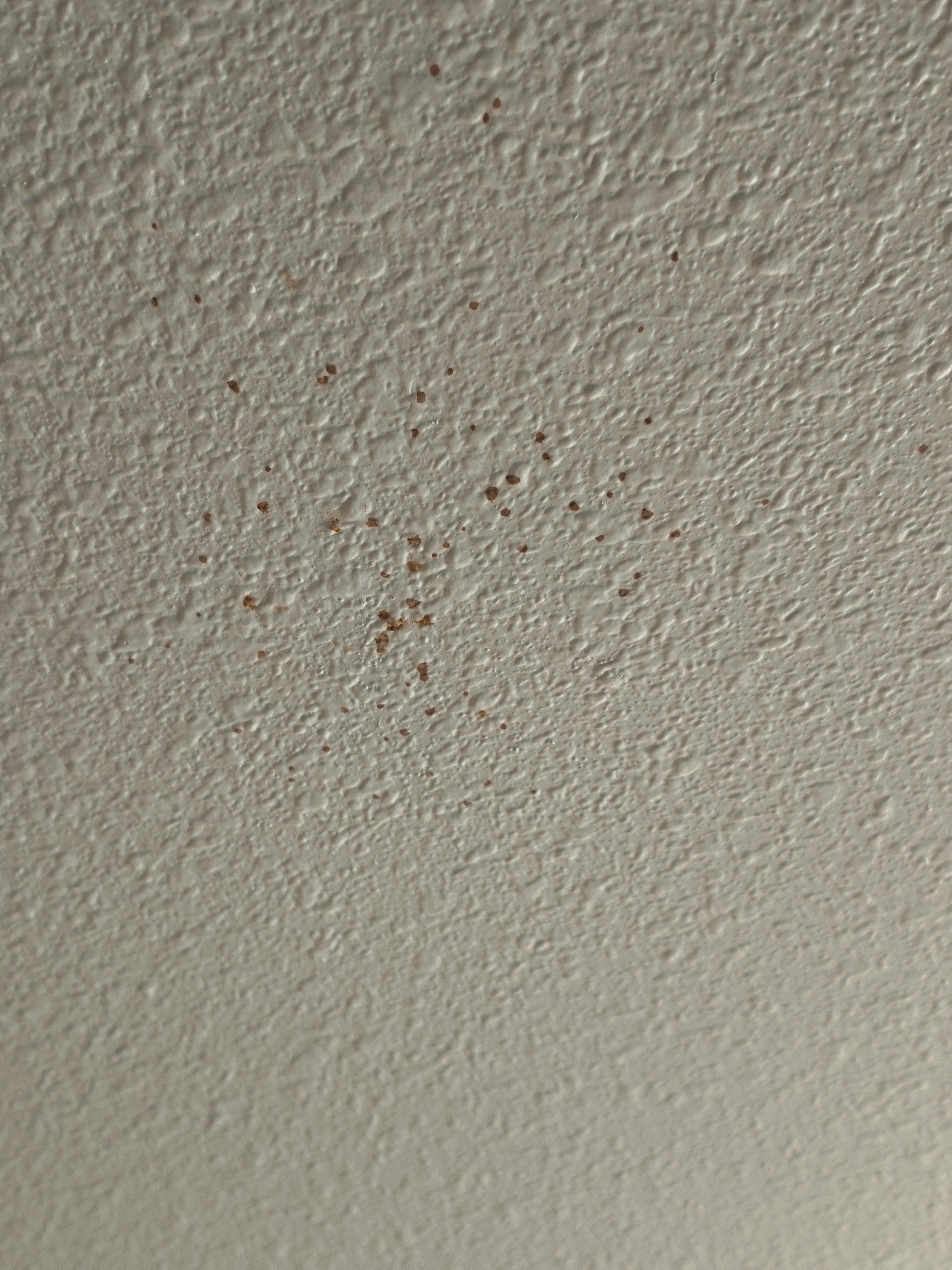 And the blood splash on the ceiling!