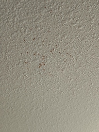 And the blood splash on the ceiling!