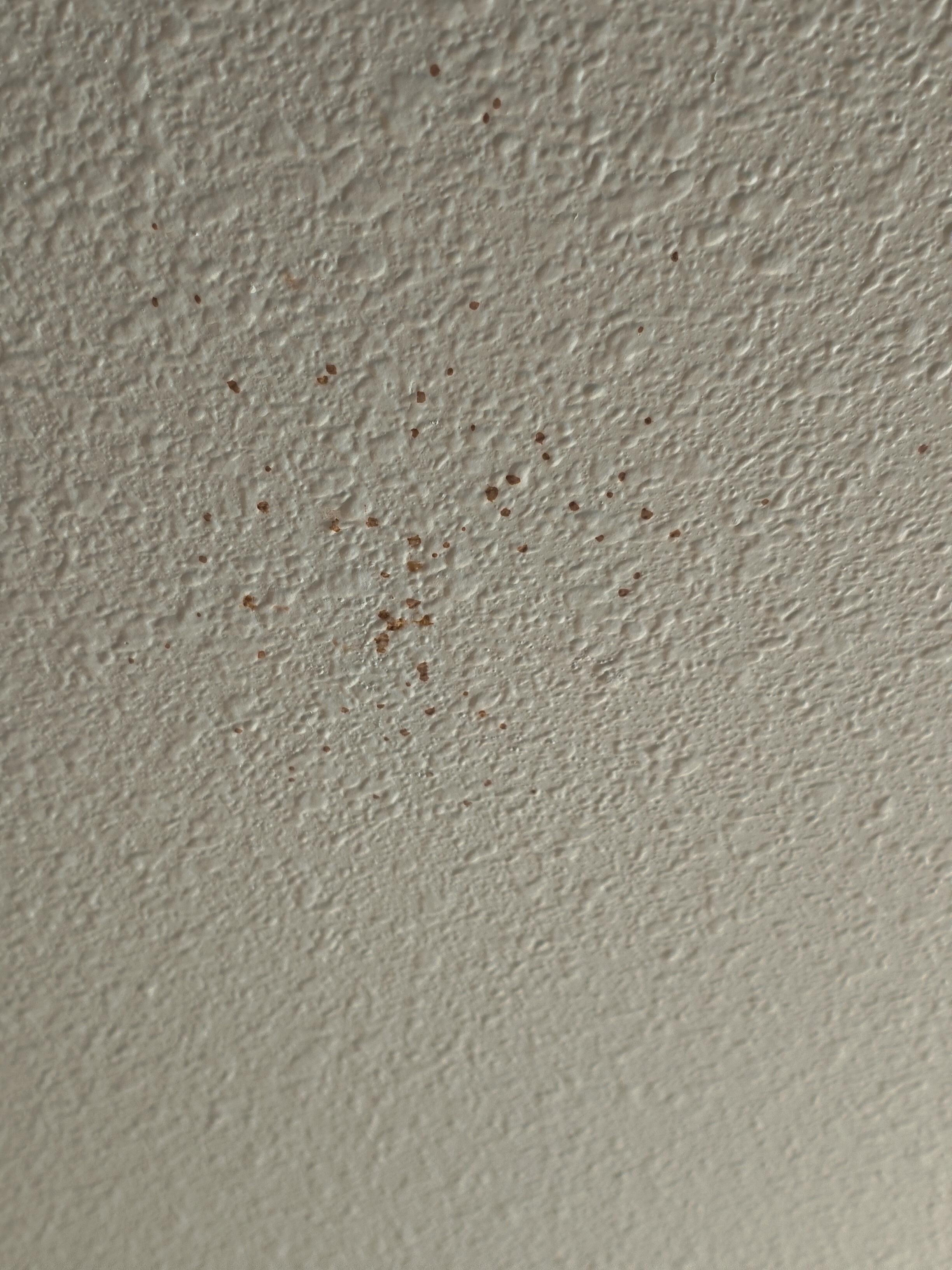 And the blood splash on the ceiling!