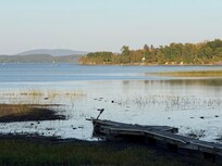 Lakeshore (from the deck)