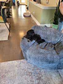 Winston's Nest