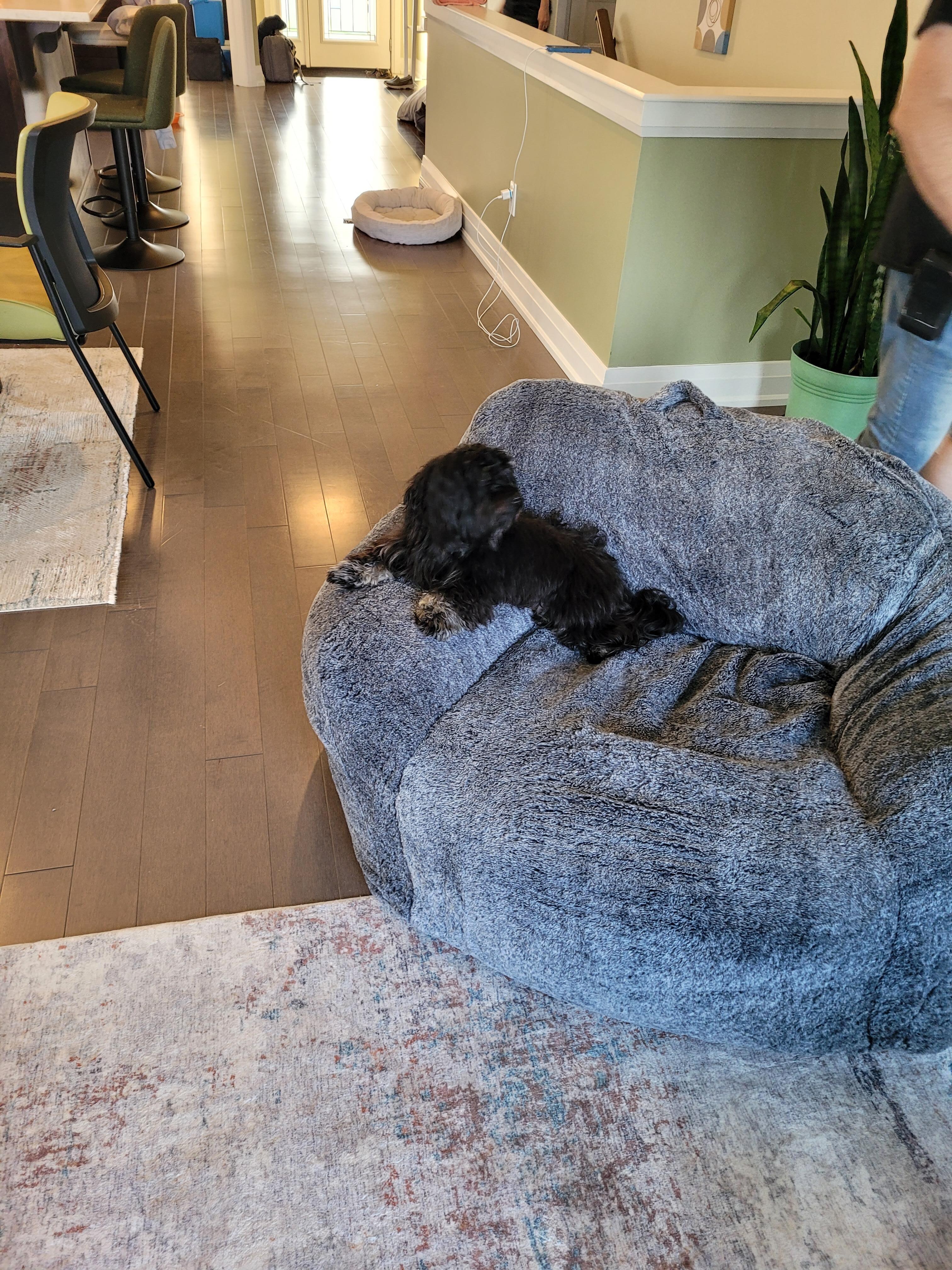 Winston's Nest