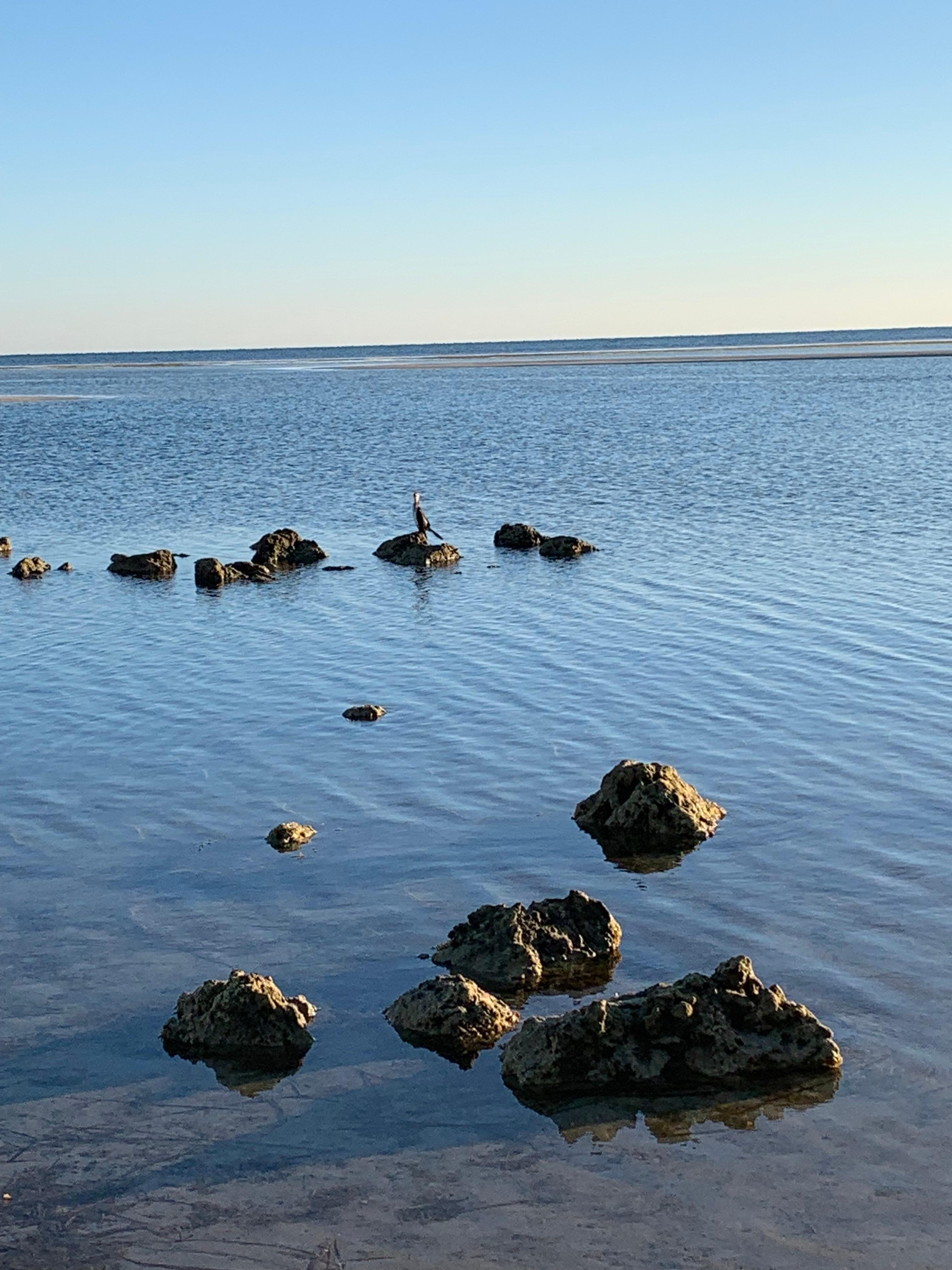 Taken from the beach alongside Geography Bay Road