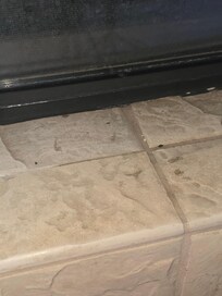 More mouse dropping in the kitchen window ledge.