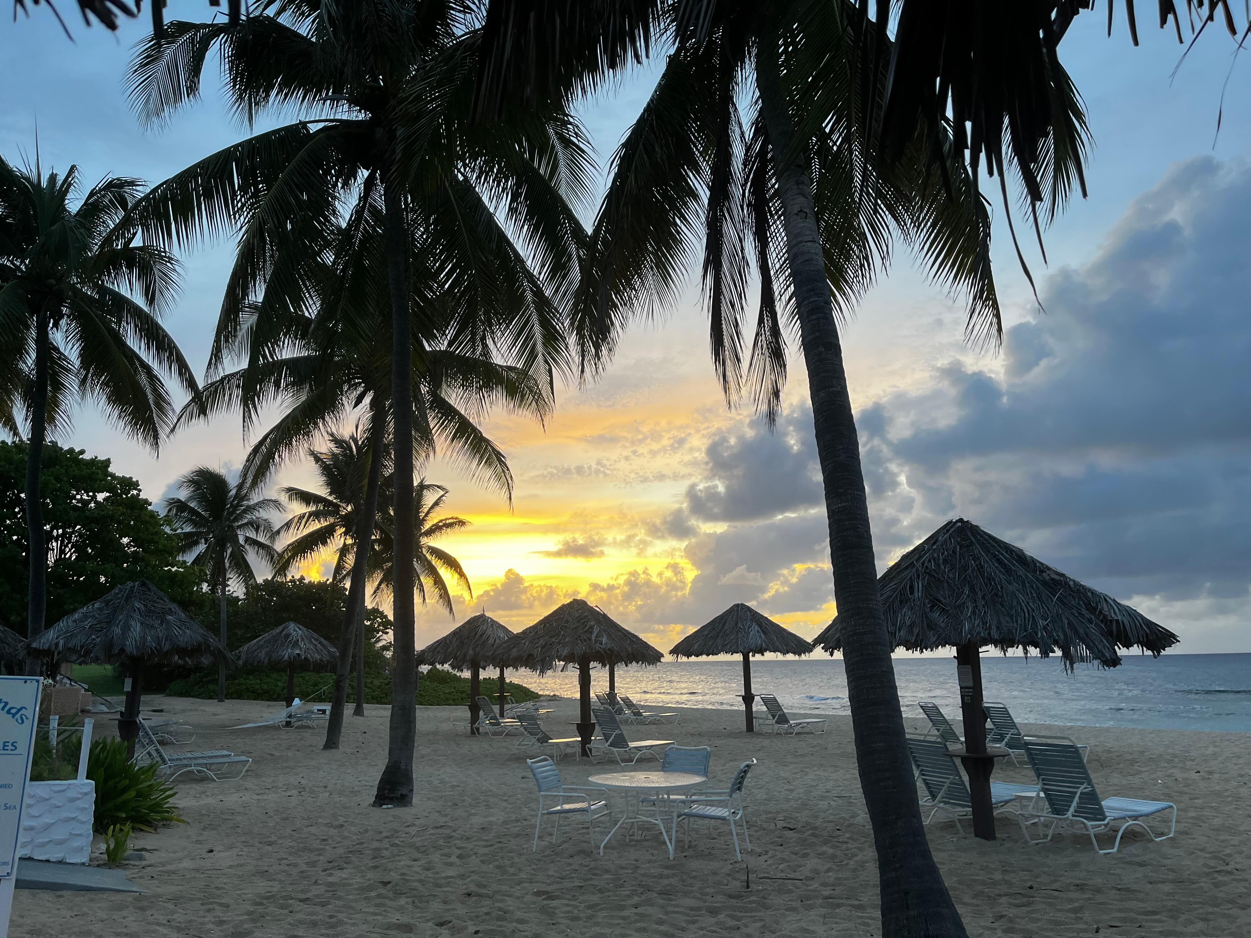 Beach View