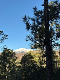 View from bottom balcony