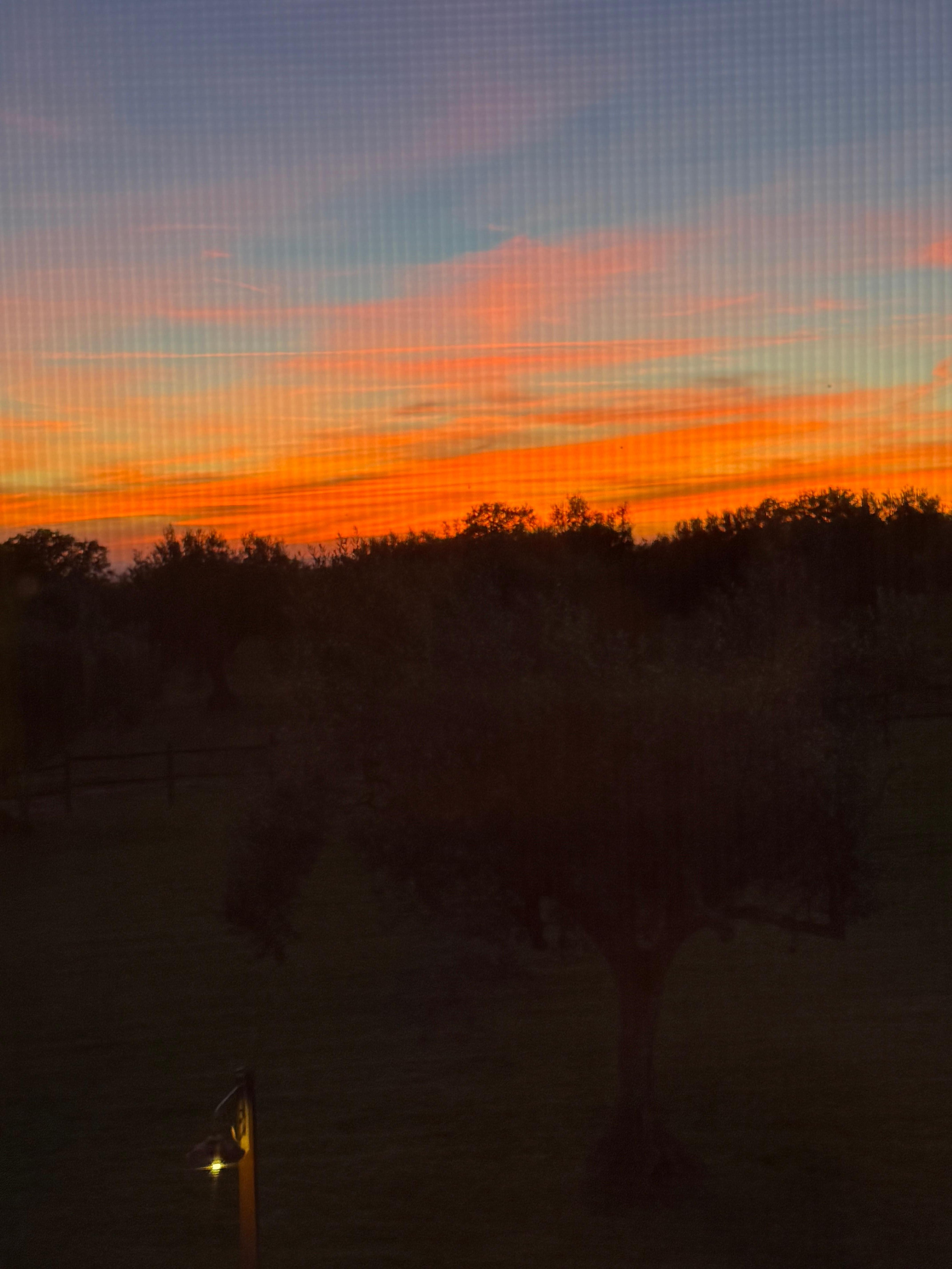 Sunset from the property