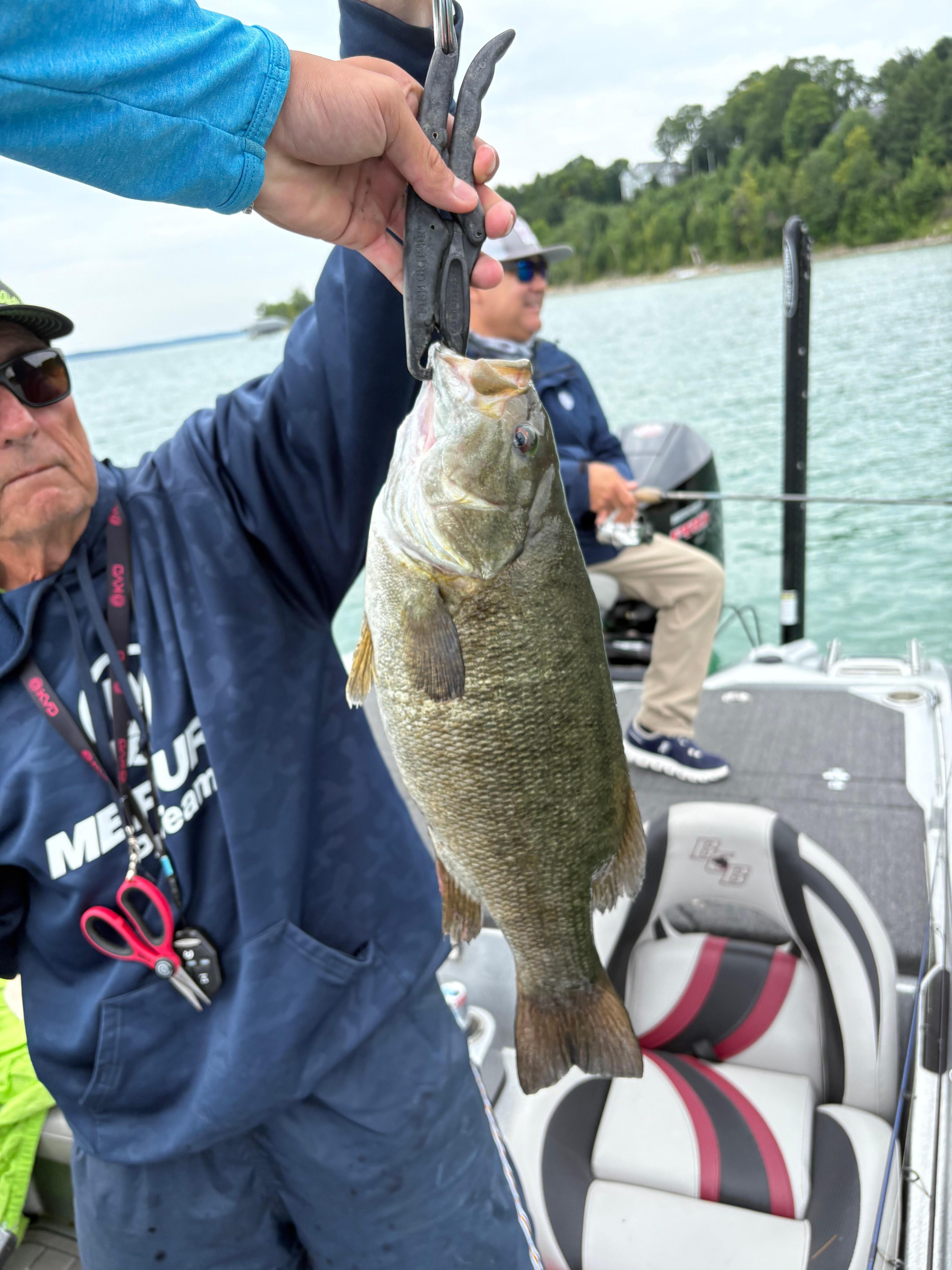 Excellent fishing! 