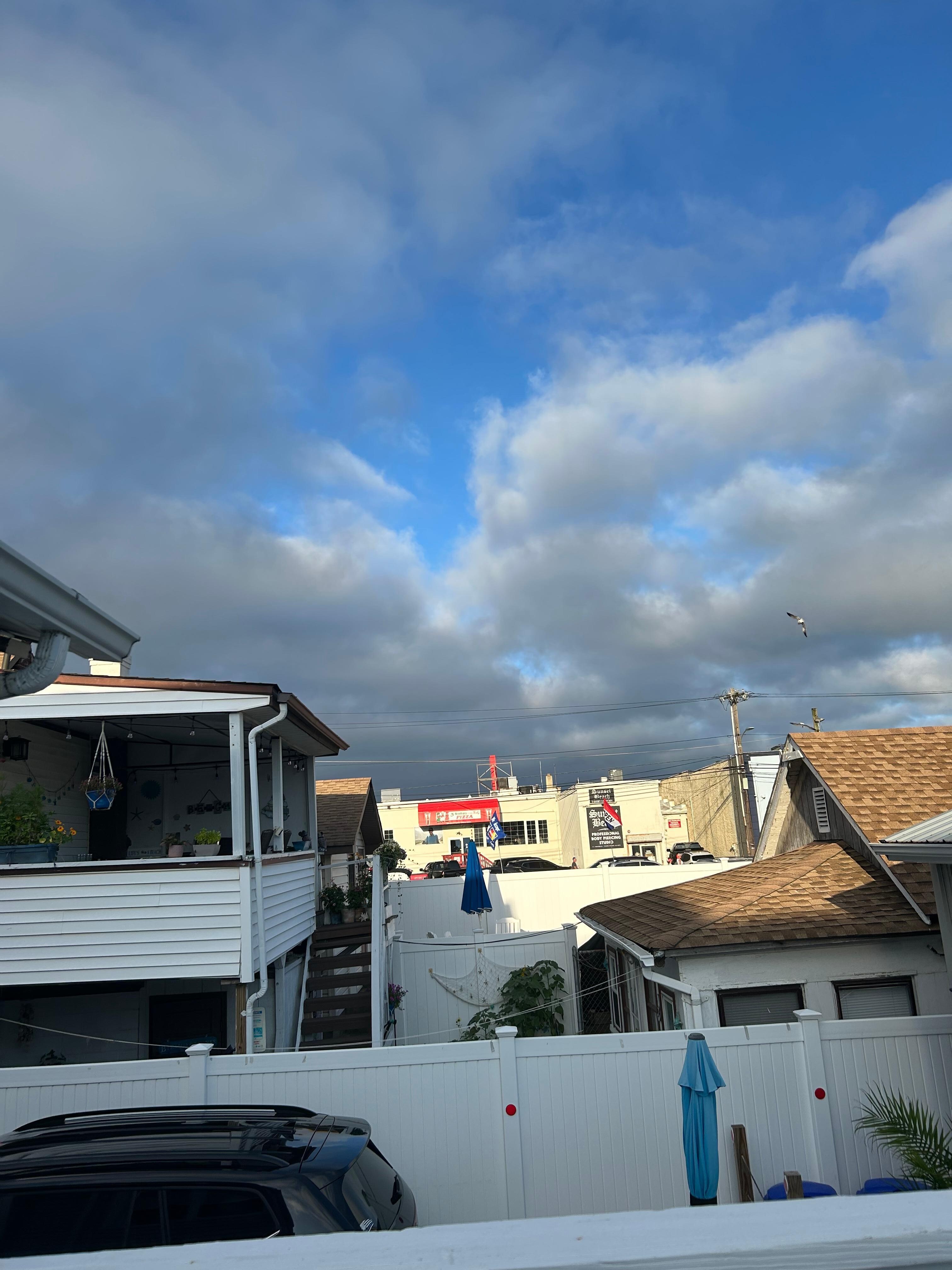 Looking towards the boardwalk from the back deck. 1/2