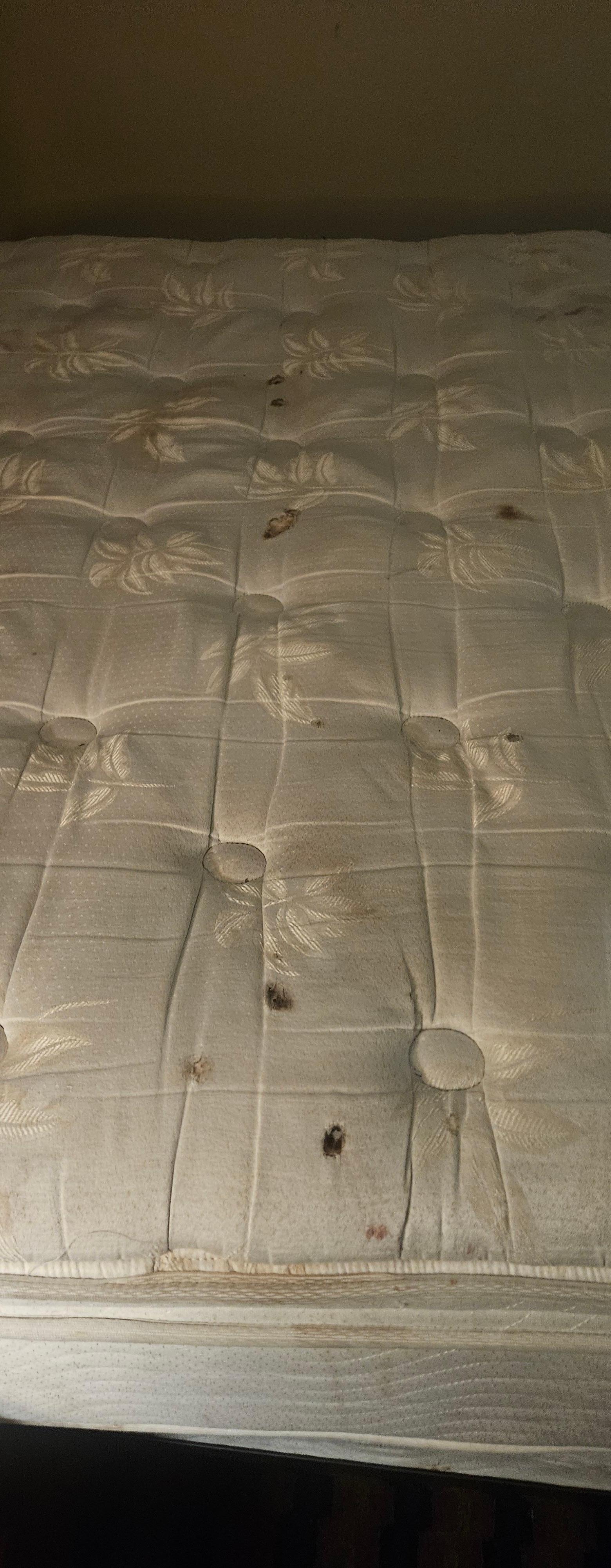 Burns & pretty fresh blood