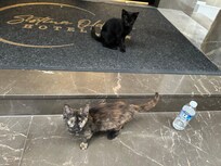My little friends who waited for me morning and night.