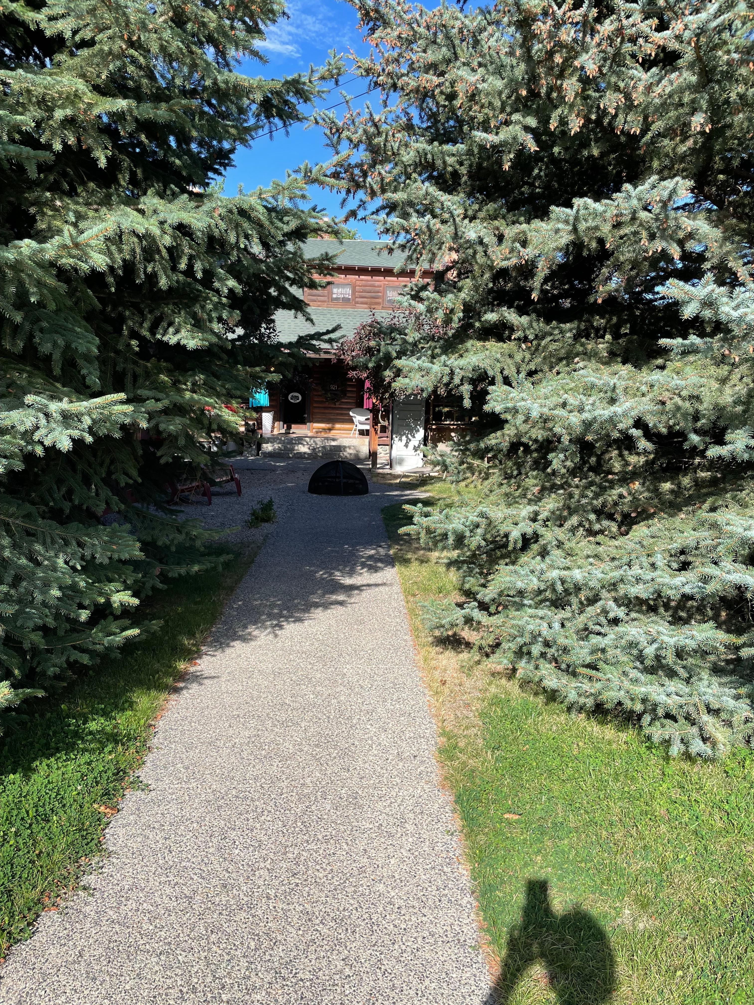 You walk through beautiful spruce trees to front yard and entrance. 