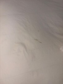 Sheets