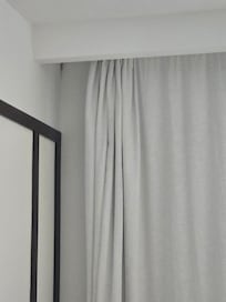 Gecko in room