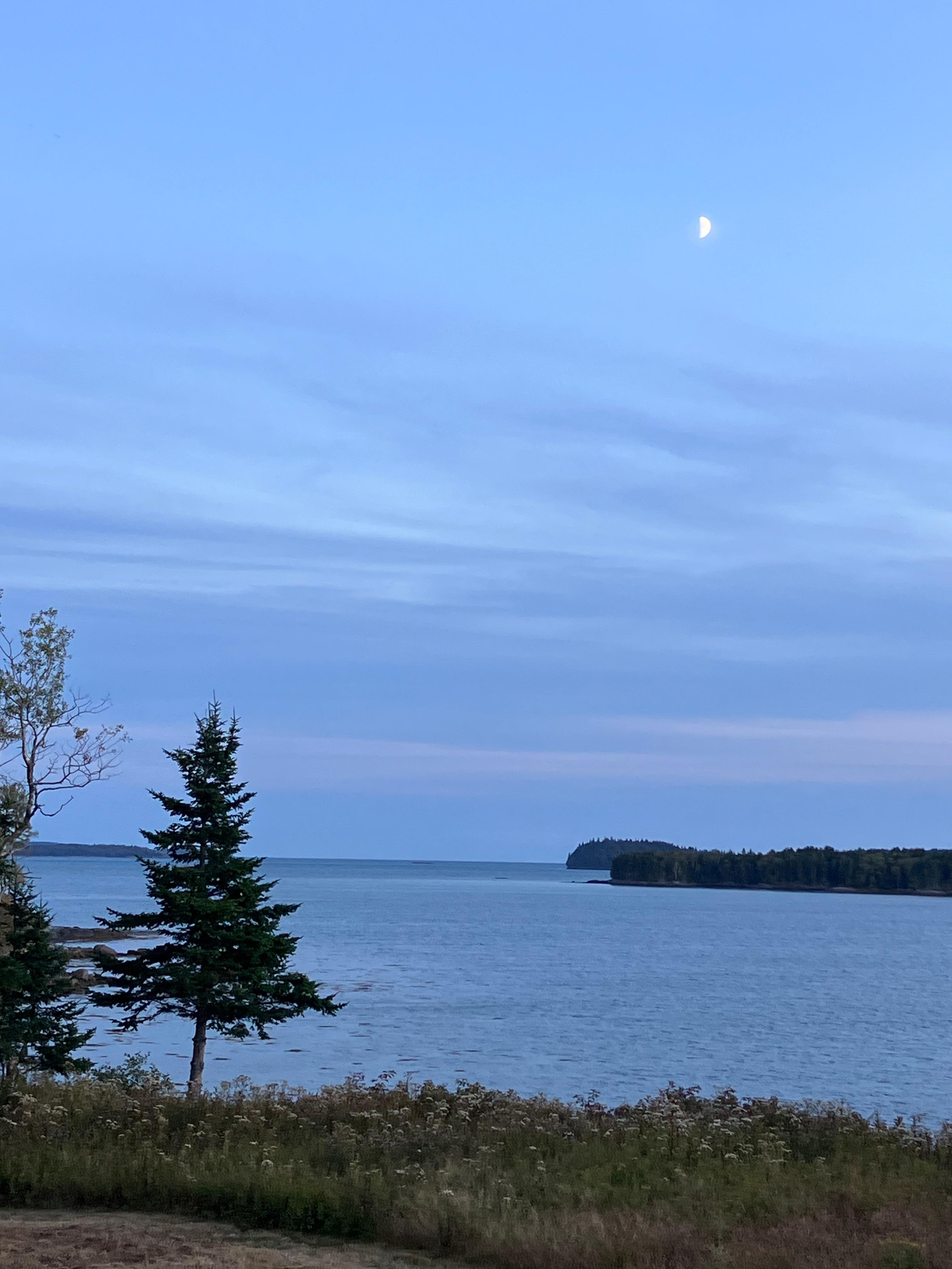 View from deck at dusk