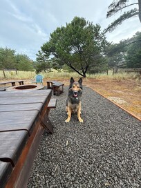 Back yard was wonderful and we enjoyed the fire pit area.