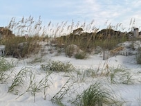 Forest Beach sand hill for access