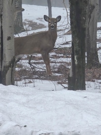Beautiful nature surroundings