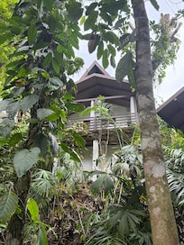 The cute bungalows