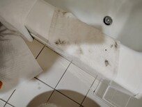 Towels in bathroom