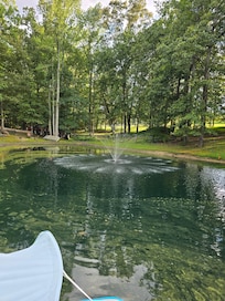 Pond