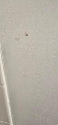 Dirt on wall