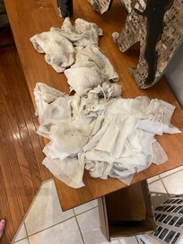 All the rags we used to clean upon arrival, 8pm. Cleaned until 2am.