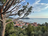 Vue de la terrasse salon