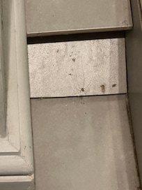 Spiders everywhere especially in the bathroom