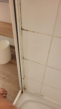 Mould everywhere in corners and on grouting. Disgusting