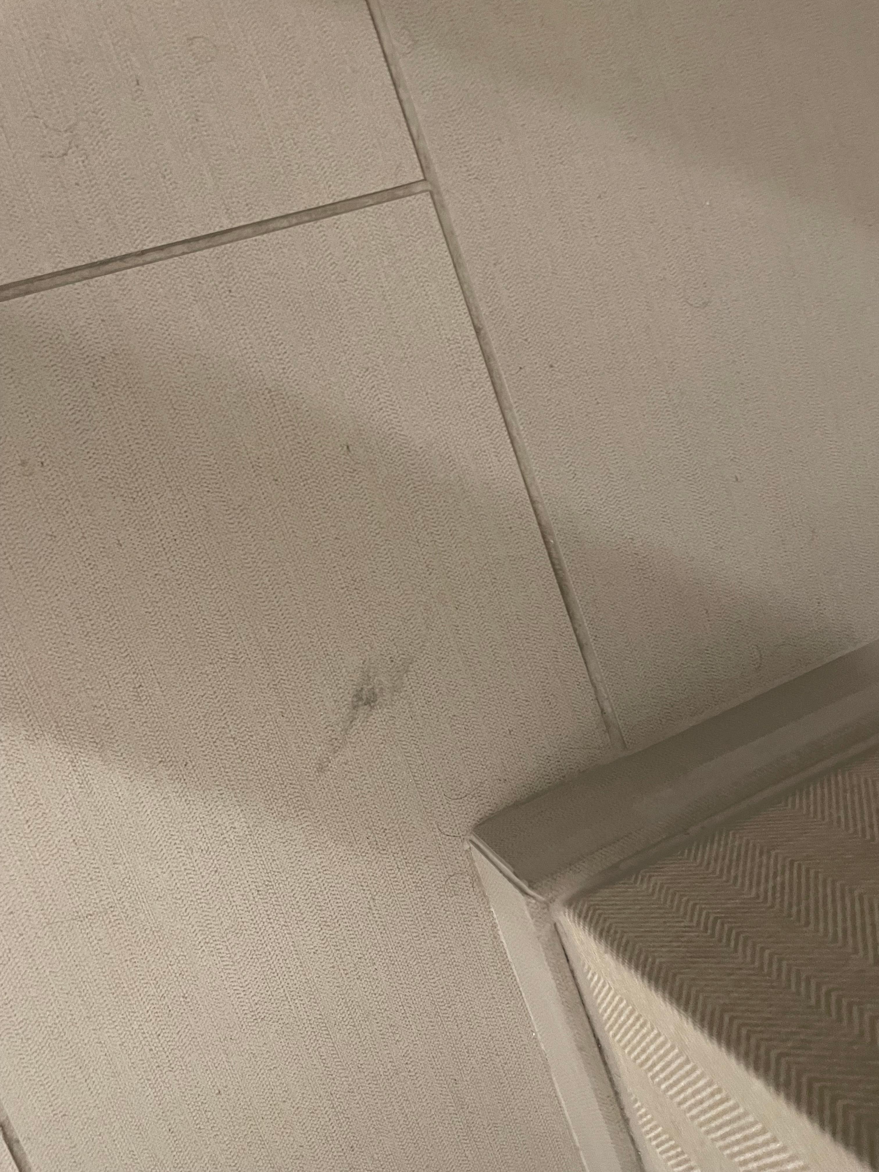 Could not walk on the bathroom floor barefoot. This was something sticky and dirty. This and the fact the shower drain was clogged was unacceptable. 