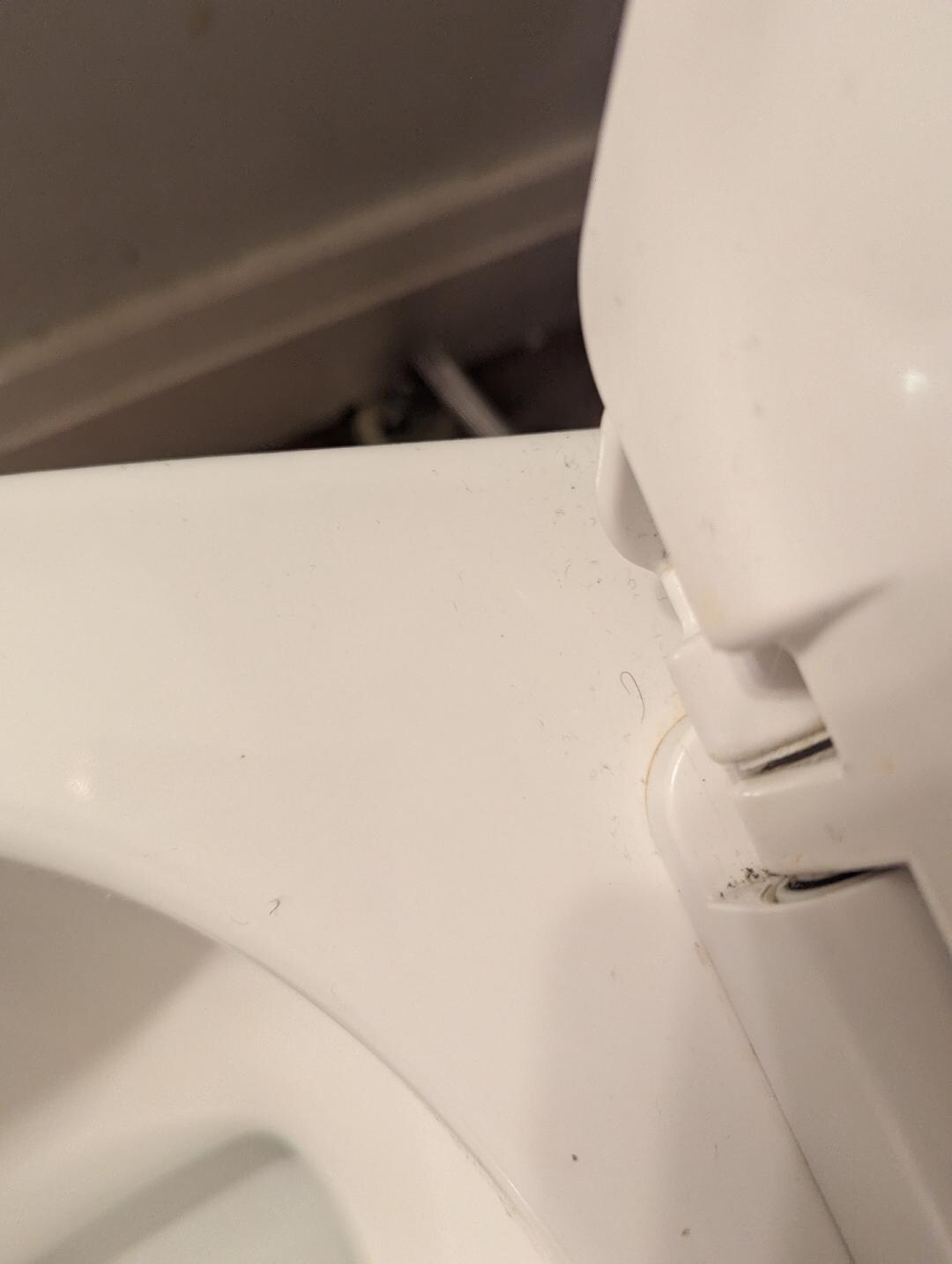 Dirty Toilet.  Zoom in to see better.