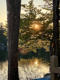 Sunset through the trees