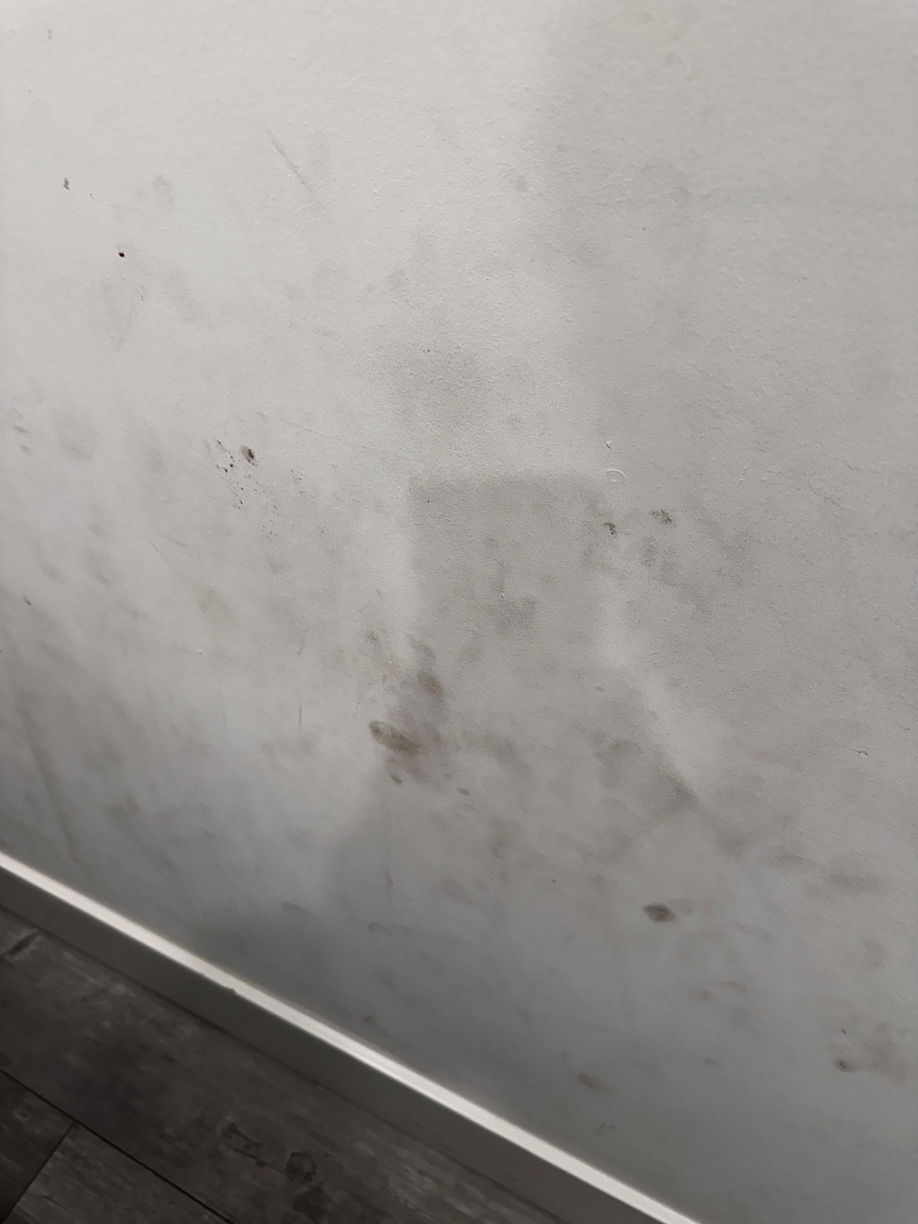 Wall inside house