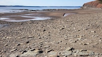 Joggins beach walk when tide is lower. Excellent for views, rock and fossil exploration. Guided tours available at the museum.